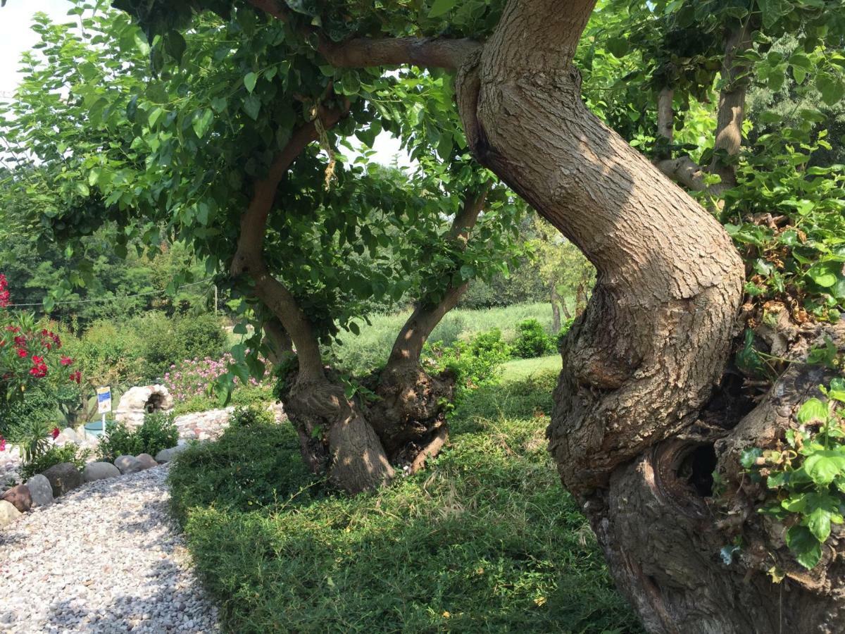 Casal Del Pigno Hotel Peschiera del Garda Bagian luar foto